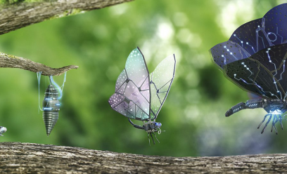 Papillons 3D