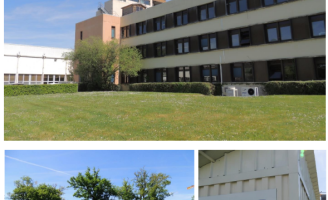site