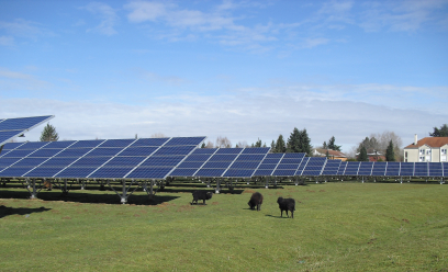 champs de panneaux solaires