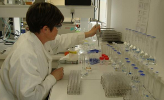 Analyse PCR