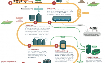 Schéma explicatif du process sucrier