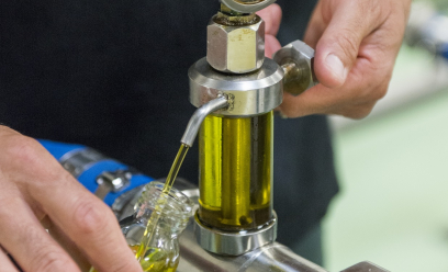 Prélèvement d'huile d'olive au niveau de la filtration