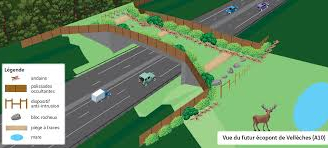 L'activité Environnement d'IRIS conseil travaille notamment sur l'insertion optimale des infrastructures de transport dans l'environnement, sur des ouvrages neufs ou existants.