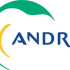 Andra
