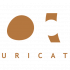Suricats Consulting